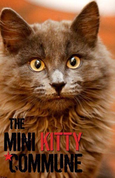 The Mini Kitty Commune ~ New Animal Charity! - Beserk