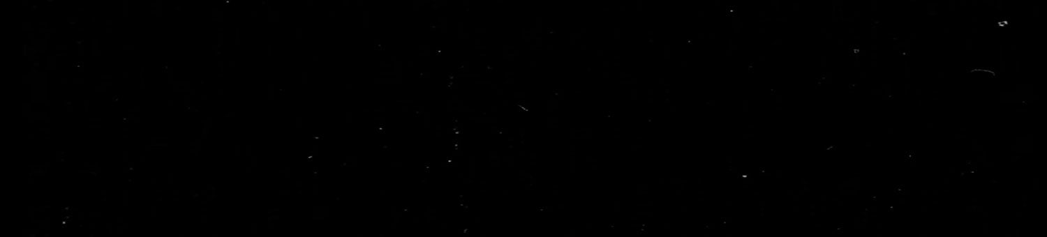 DISTURBIA CLOTHING - Beserk