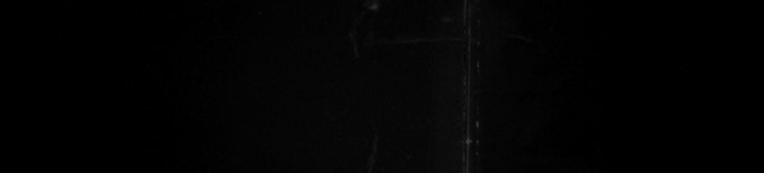 STEVEN RHODES - Beserk