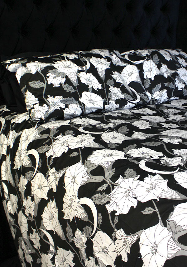 Hells Blankets Jimsonweed - View 11