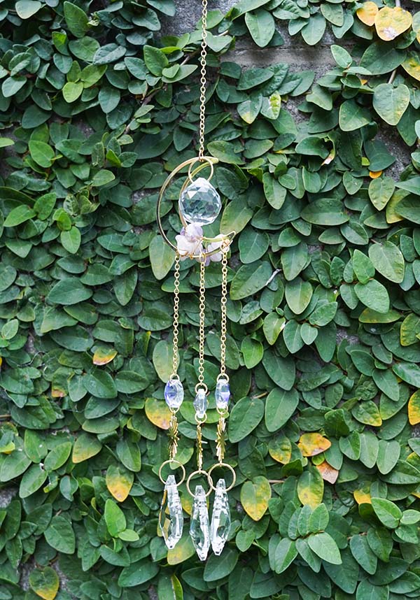 Celestial Moon | HANGER