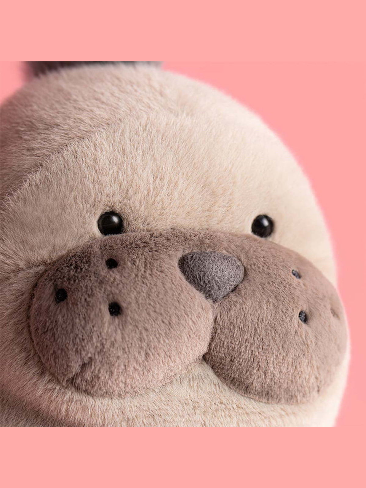 Roarwell Sea Lion | PLUSH