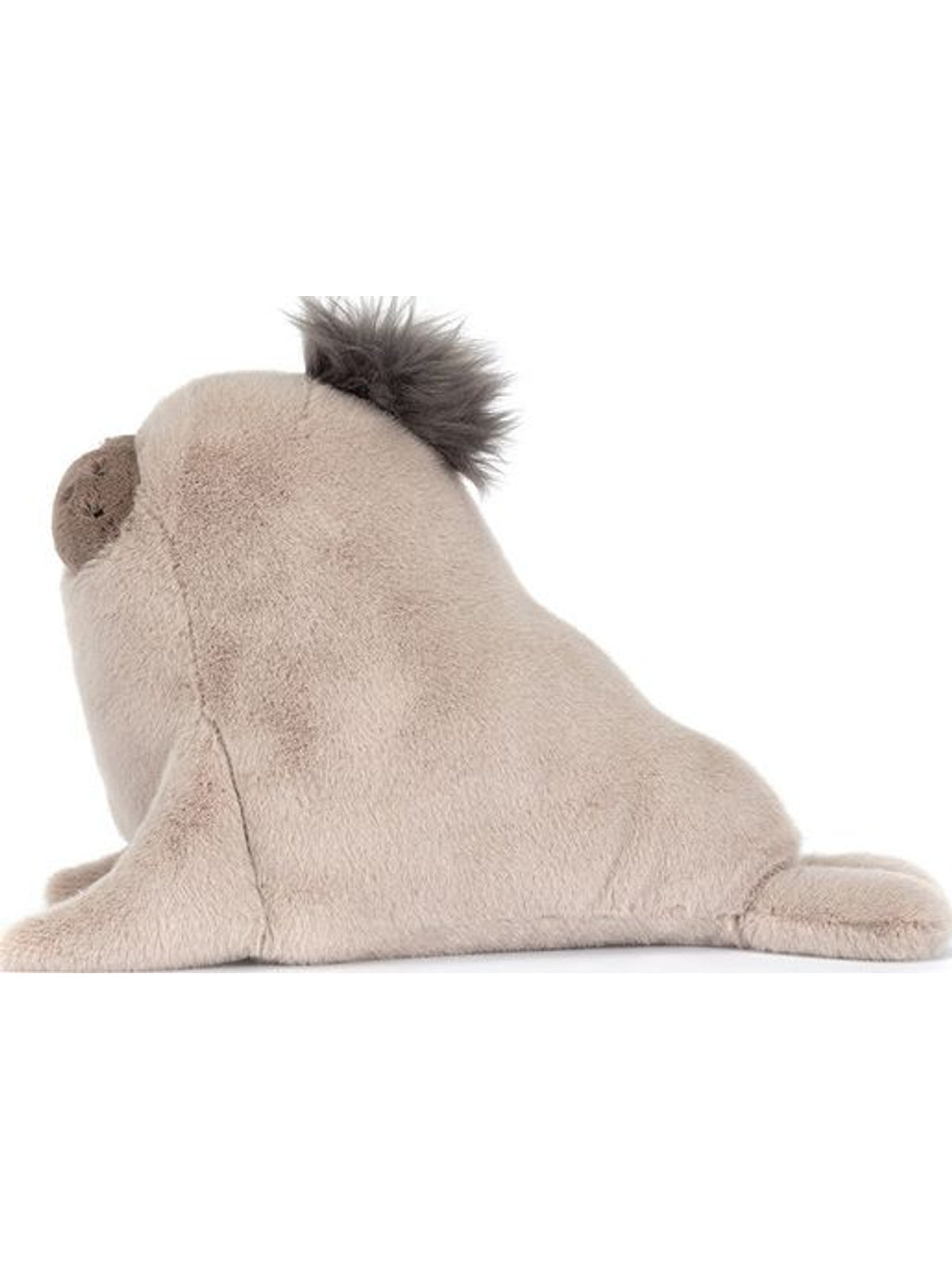 Roarwell Sea Lion | PLUSH