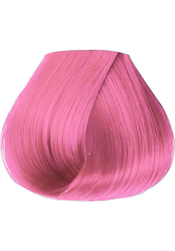 Cotton Candy Semi Permanent | HAIR COLOUR - Beserk - all, baby pink, beserkstaple, clickfrenzy15-2023, cpgstinc, cruelty free, discountapp, dye, dyes, fp, hair, hair colour, hair colours, hair dye, hair dyes, hair pink, hair products, jun20, labelvegan, manduimports, mermaid, pink, rose pink, vegan
