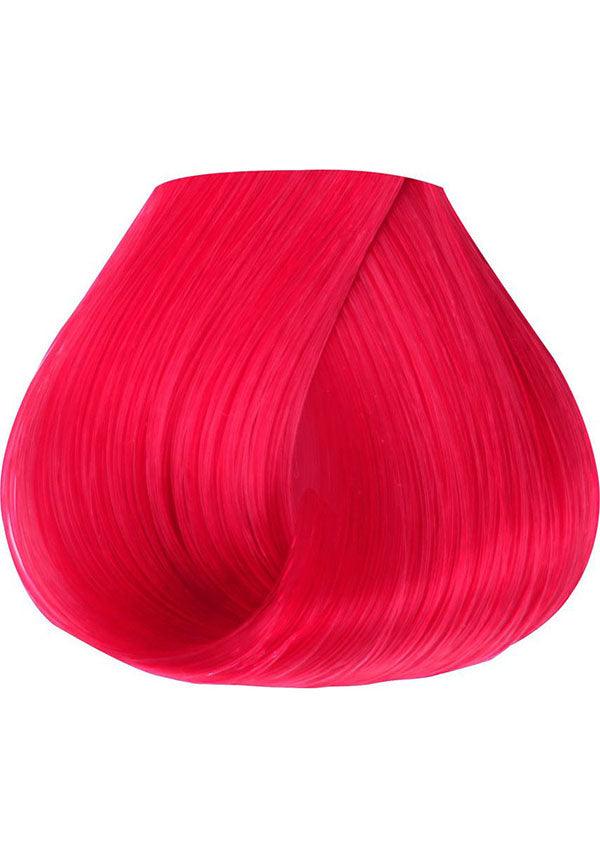 Crimson Semi Permanent | HAIR COLOUR - Beserk - all, beserkstaple, clickfrenzy15-2023, cpgstinc, cruelty free, discountapp, dye, dyes, fp, hair, hair colour, hair colours, hair dye, hair dyes, hair products, hair red, jun20, labelvegan, manduimports, mermaid, red, vegan