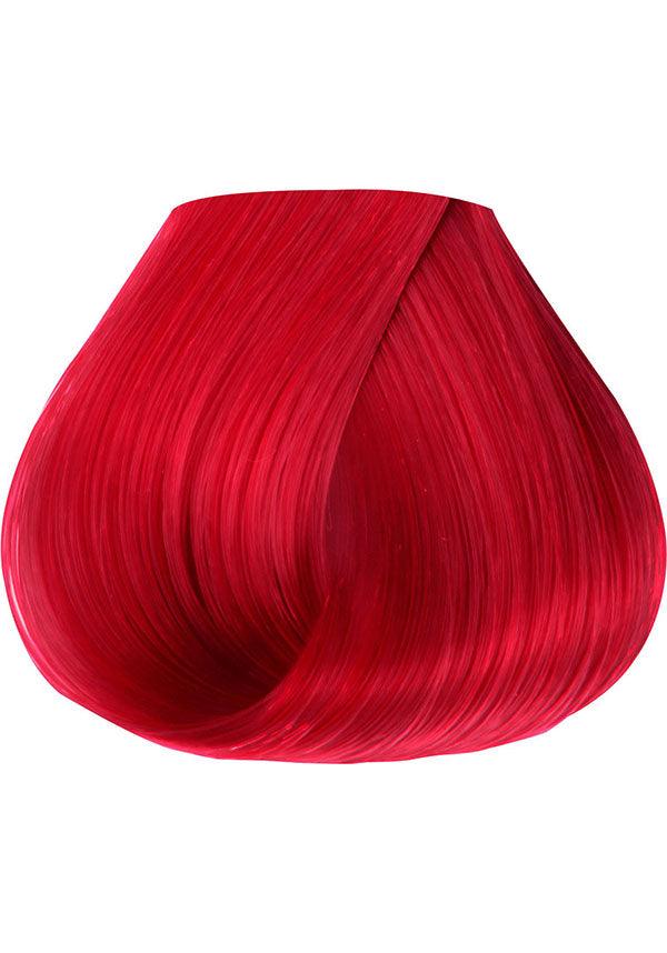 Ruby Red Semi Permanent | HAIR COLOUR - Beserk - all, beserkstaple, clickfrenzy15-2023, cpgstinc, discountapp, fp, hair, hair colour, hair dye, hair dyes, hair red, labelvegan, manduimports, may20, rainbow hair, red, vegan