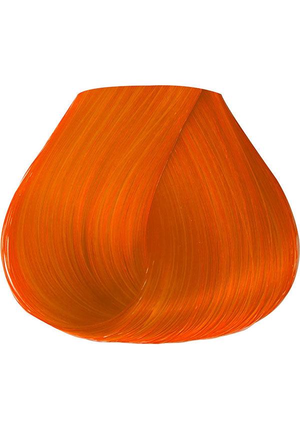 Sunrise Orange Semi Permanent | HAIR COLOUR - Beserk - all, beserkstaple, bright orange, clickfrenzy15-2023, cpgstinc, cruelty free, discountapp, dye, dyes, fp, hair, hair colour, hair colours, hair dye, hair dyes, hair orange, hair products, jun20, labelvegan, manduimports, orange, vegan