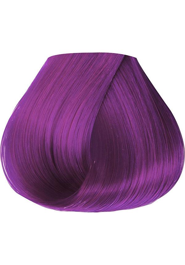 Violet Gem Semi Permanent | HAIR COLOUR - Beserk - all, beserkstaple, clickfrenzy15-2023, cpgstinc, cruelty free, dark purple, discountapp, dye, dyes, fp, hair, hair colour, hair colours, hair dye, hair dyes, hair products, hair purple, hair violet, jun20, labelvegan, manduimports, purple, slowseller, vegan