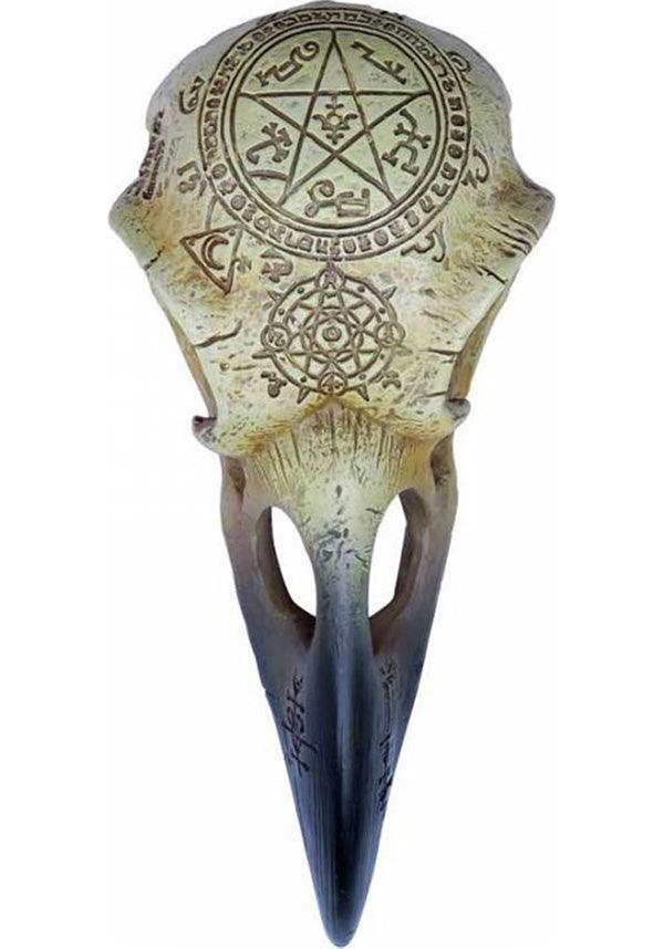 Omega Raven | SKULL - Beserk - accessories, AG79207, alchemy gothic, all, best seller, clickfrenzy15-2023, dec18, discountapp, fp, gifts, gothic, gothic gifts, gothic homewares, halloween, halloween homewares, homewares, horror, labelvegan, skull, skulls, vegan, witchcraft