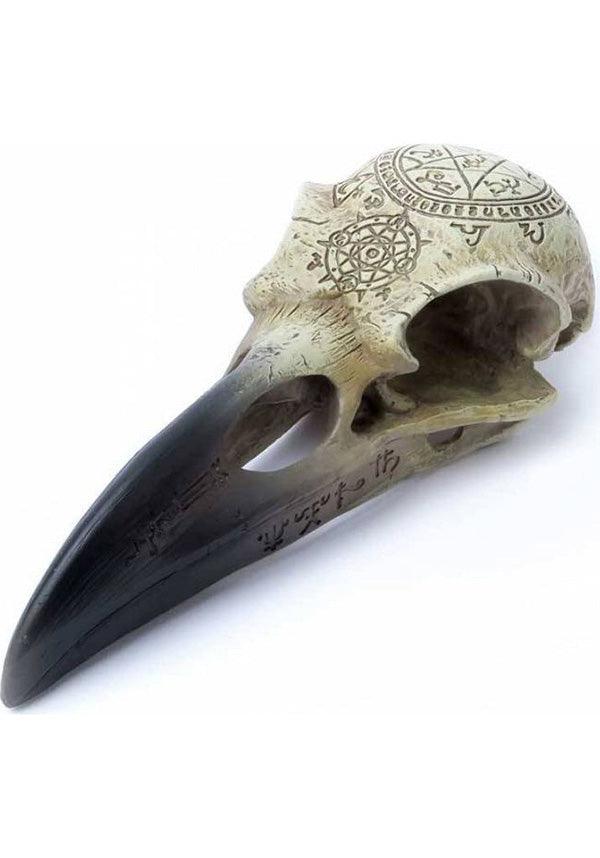 Omega Raven | SKULL - Beserk - accessories, AG79207, alchemy gothic, all, best seller, clickfrenzy15-2023, dec18, discountapp, fp, gifts, gothic, gothic gifts, gothic homewares, halloween, halloween homewares, homewares, horror, labelvegan, skull, skulls, vegan, witchcraft