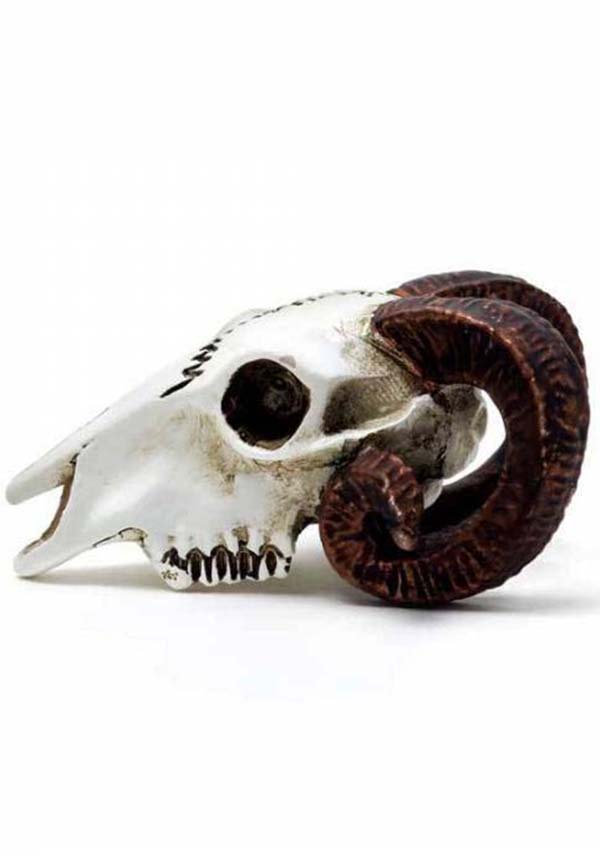 Rams Skull | MINIATURE*