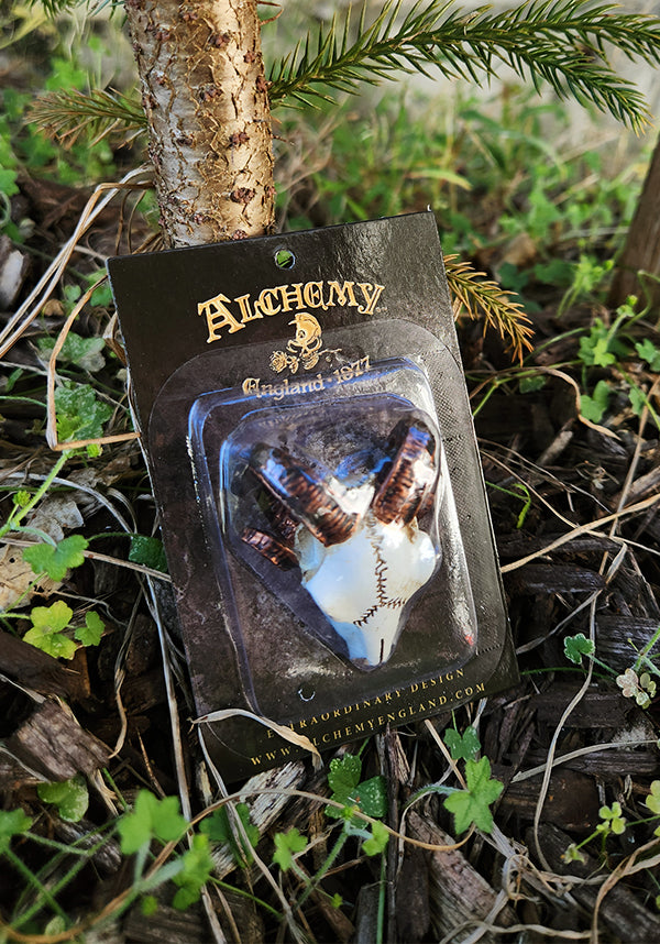 Rams Skull | MINIATURE*