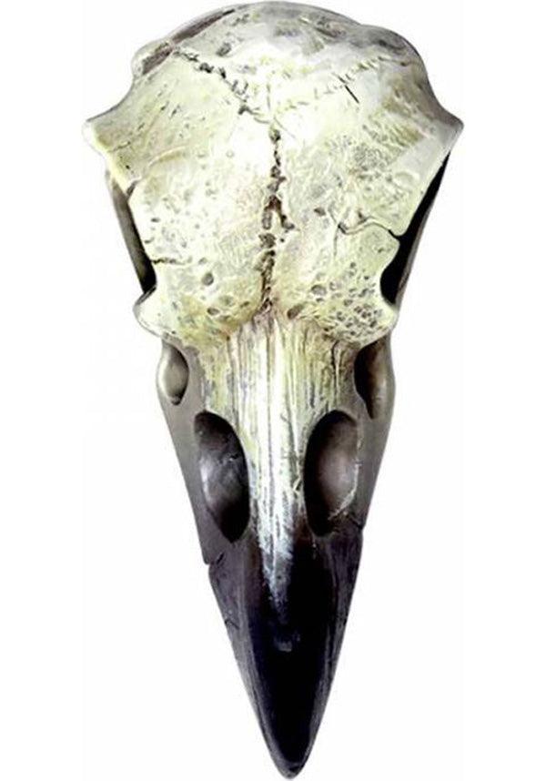 Small Raven | SKULL - Beserk - accessories, alchemy gothic, all, best seller, clickfrenzy15-2023, dec18, discountapp, fp, gifts, gothic, gothic gifts, halloween, halloween homewares, homewares, skull, witchcraft