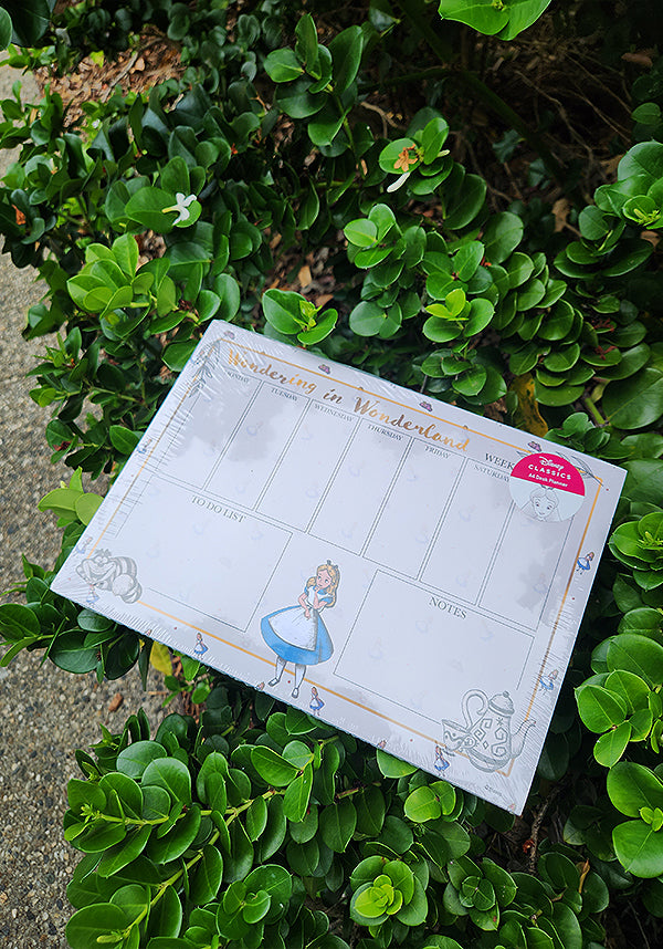 Disney Alice in Wonderland: Wondering - Side View