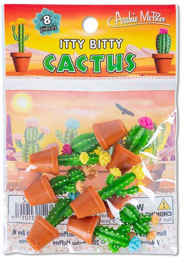 Itty Bitty | CACTUS*