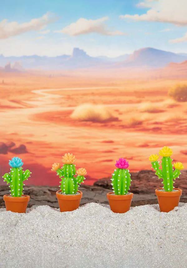 Itty Bitty | CACTUS*