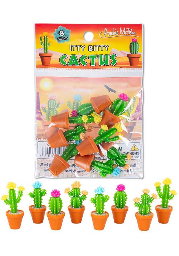 Itty Bitty | CACTUS*