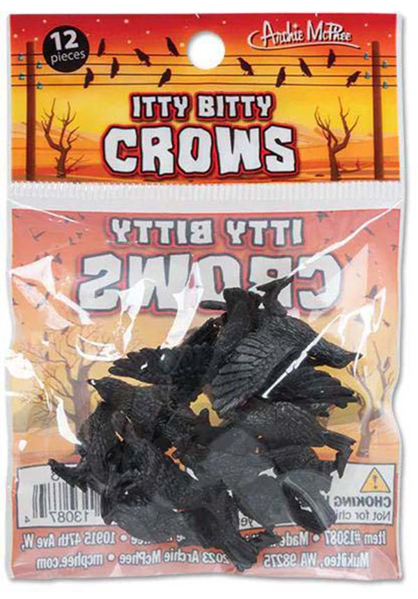 Itty Bitty | CROWS
