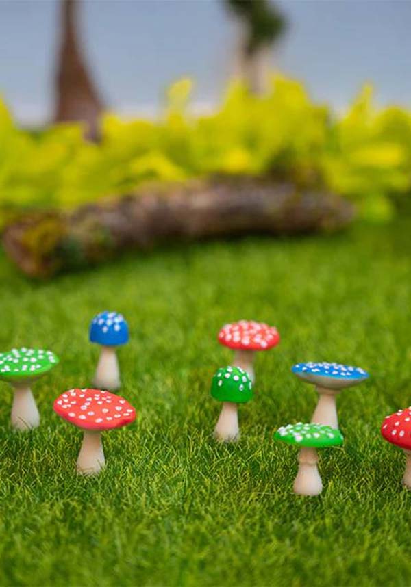 Itty Bitty | MUSHROOMS*