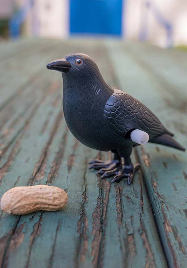 Wind-Up | CRAZY CROW*