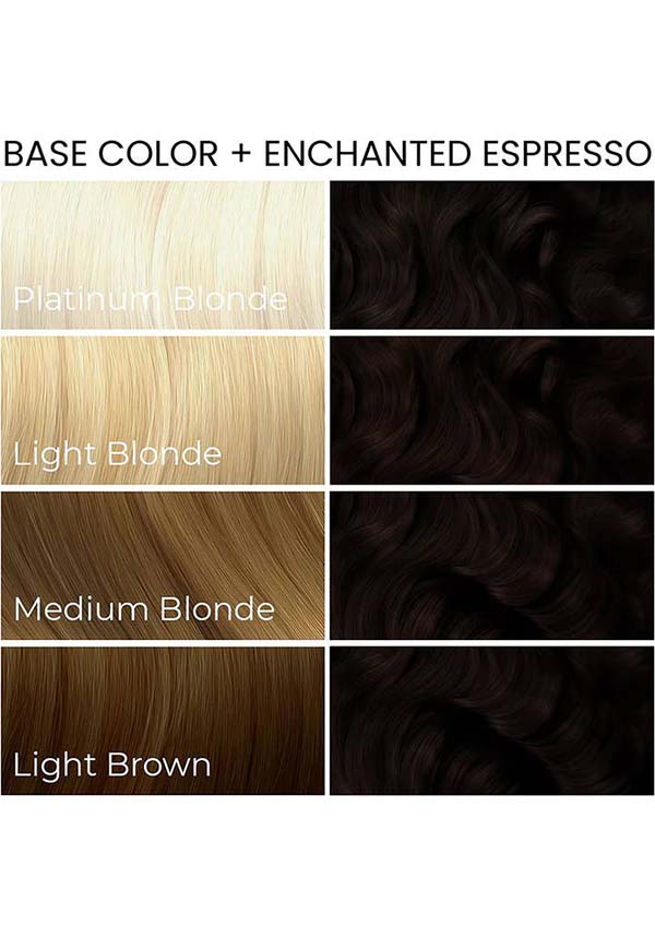 Arctic Fox Enchanted Espresso - Lifestyle Shot