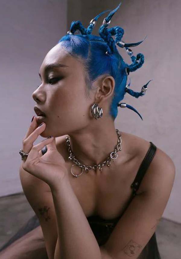 Arctic Fox Jinx - Back View