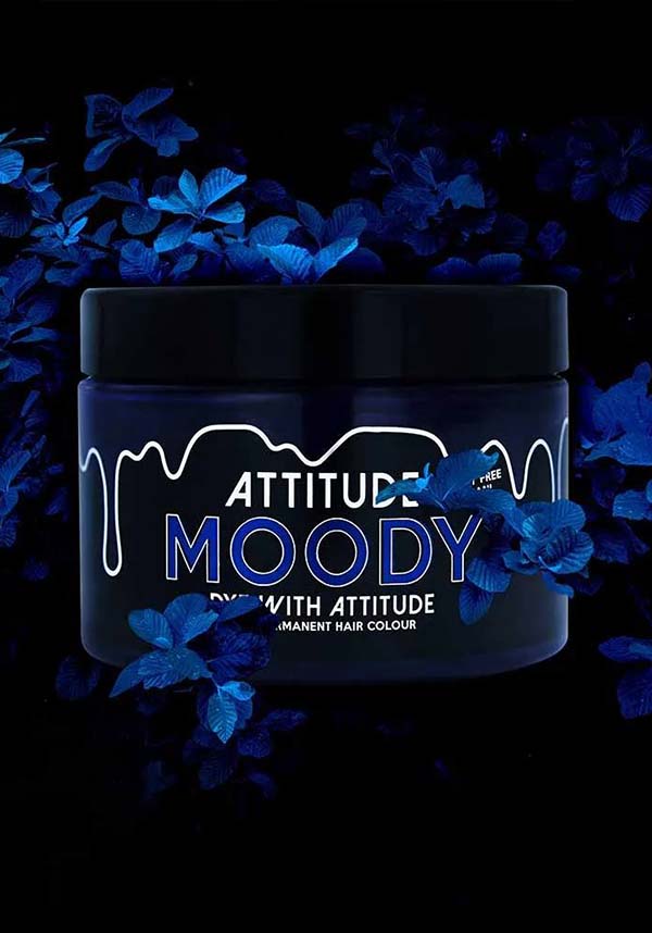 Moody Blue | HAIR COLOUR*