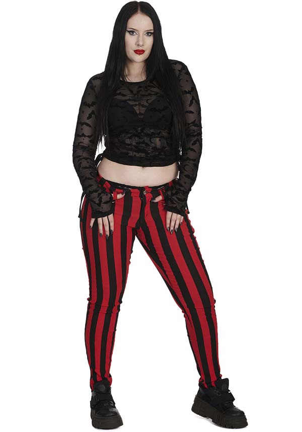 Groove Is All Around | TOP*