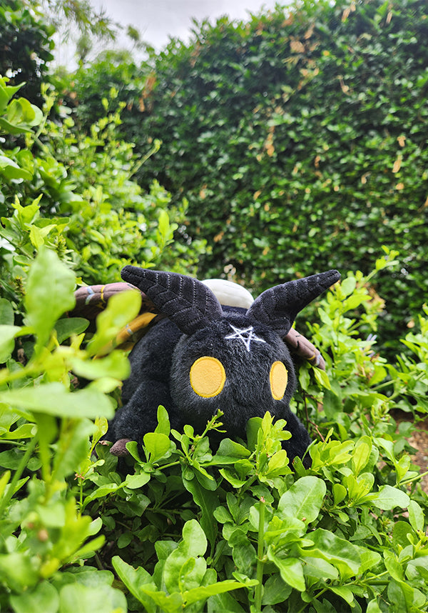 Death's Head Hawkmoth | PLUSH