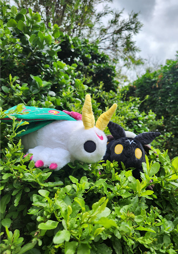 Death's Head Hawkmoth | PLUSH