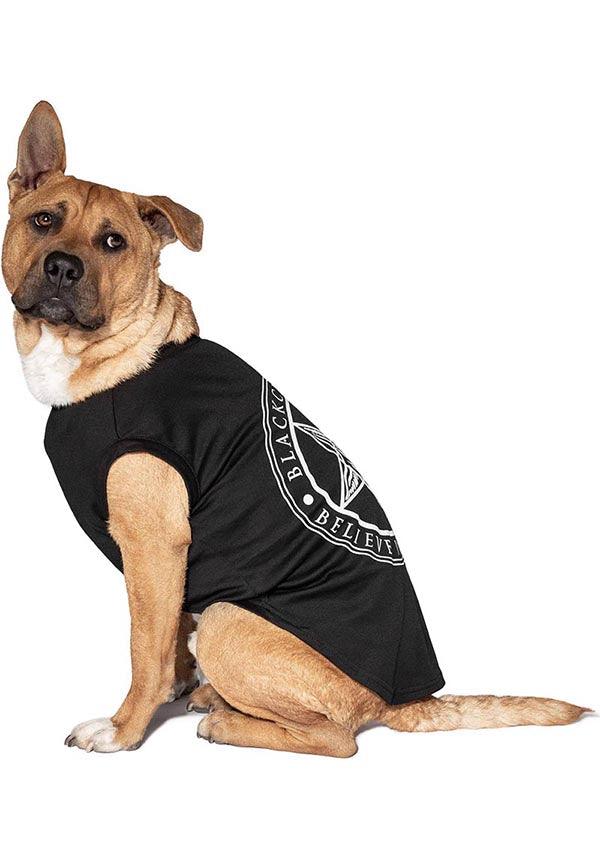 Believe In Yourself | PET TEE** - Beserk - all, all clothing, BCD378, black, blackcraft, boxingday22-20, clickfrenzy15-2023, clothing, discountapp, dog, dog vest, dogs, exclusive, finalsale, fur parents, goth, gothic, home, homeware, homewares, jun22, labelexclusive, mothersdaypet, mysterypack2023, pet, pet clothing, pets, r260622, sale