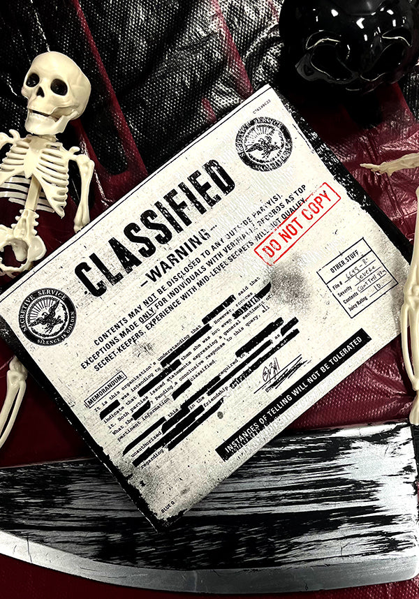 Classified | ZIPPER POUCH
