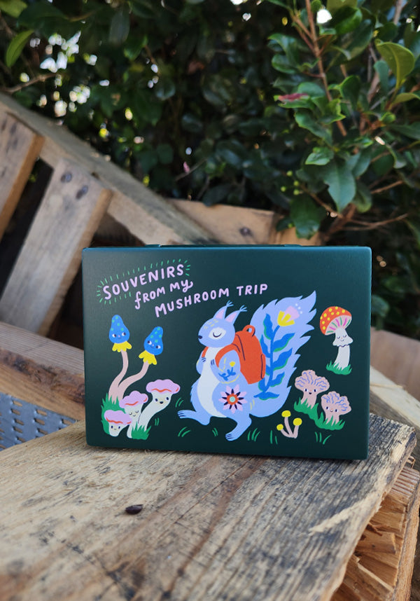 Souvenirs From My Mushroom Trip | POCKET BOX