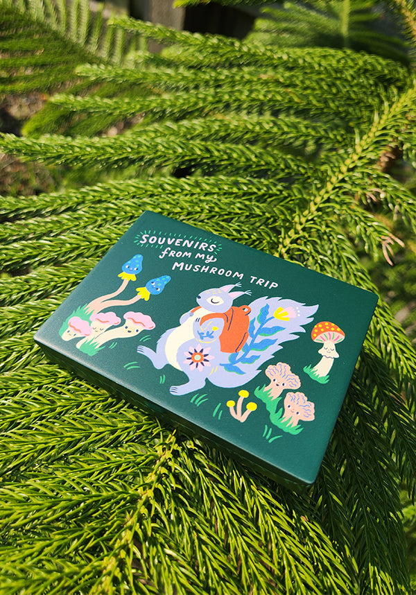 Souvenirs From My Mushroom Trip | POCKET BOX