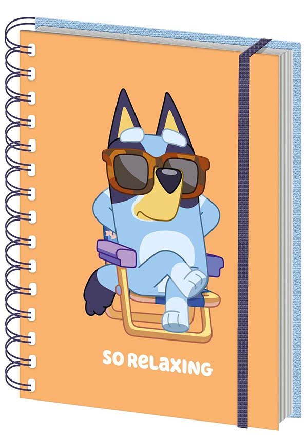 Bluey: So Relaxing | NOTEBOOK