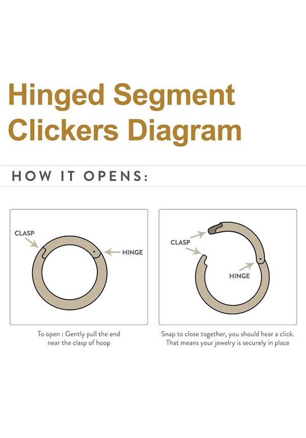 Black | SEGMENTED RING