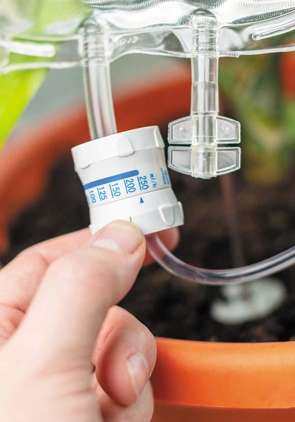 Plant | LIFE SUPPORT - Beserk - all, bubblegum stuff, clickfrenzy15-2023, cpgstinc, discountapp, fp, garden, gift, gift idea, gift ideas, gifts, gothic gifts, home, homeware, homewares, mens gift, mens gifts, mothersday, mothersdayplant, nov20, office homewares, outdoors, plant, williamvalentine