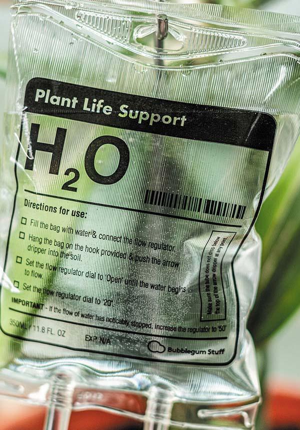 Plant | LIFE SUPPORT - Beserk - all, bubblegum stuff, clickfrenzy15-2023, cpgstinc, discountapp, fp, garden, gift, gift idea, gift ideas, gifts, gothic gifts, home, homeware, homewares, mens gift, mens gifts, mothersday, mothersdayplant, nov20, office homewares, outdoors, plant, williamvalentine