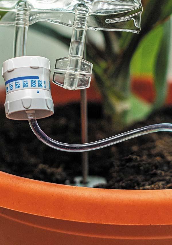 Plant | LIFE SUPPORT - Beserk - all, bubblegum stuff, clickfrenzy15-2023, cpgstinc, discountapp, fp, garden, gift, gift idea, gift ideas, gifts, gothic gifts, home, homeware, homewares, mens gift, mens gifts, mothersday, mothersdayplant, nov20, office homewares, outdoors, plant, williamvalentine