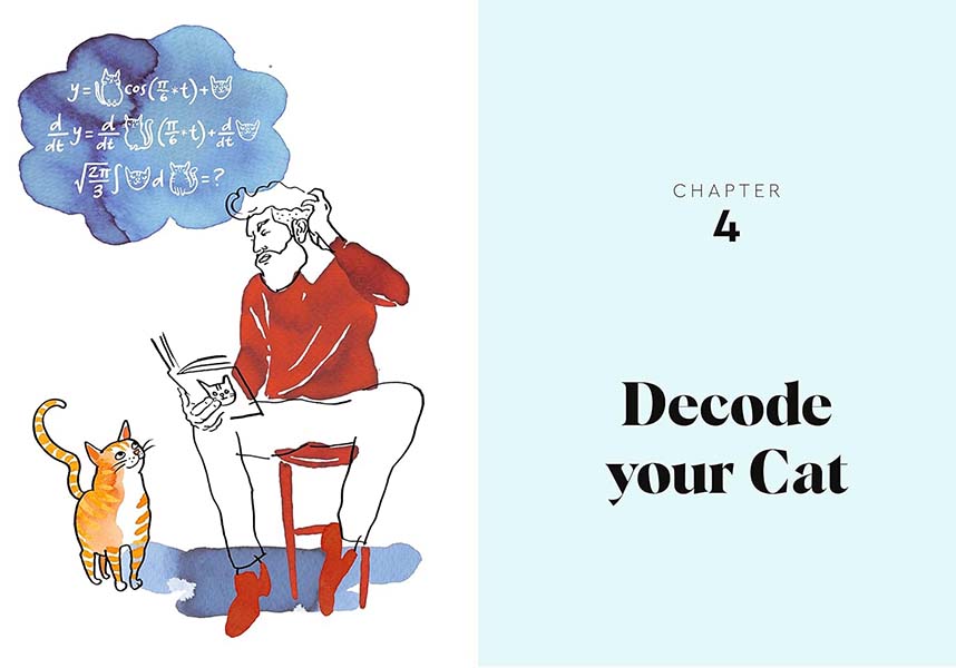 Cat Dads: Your Guide to Feline Fatherhood | BOOK