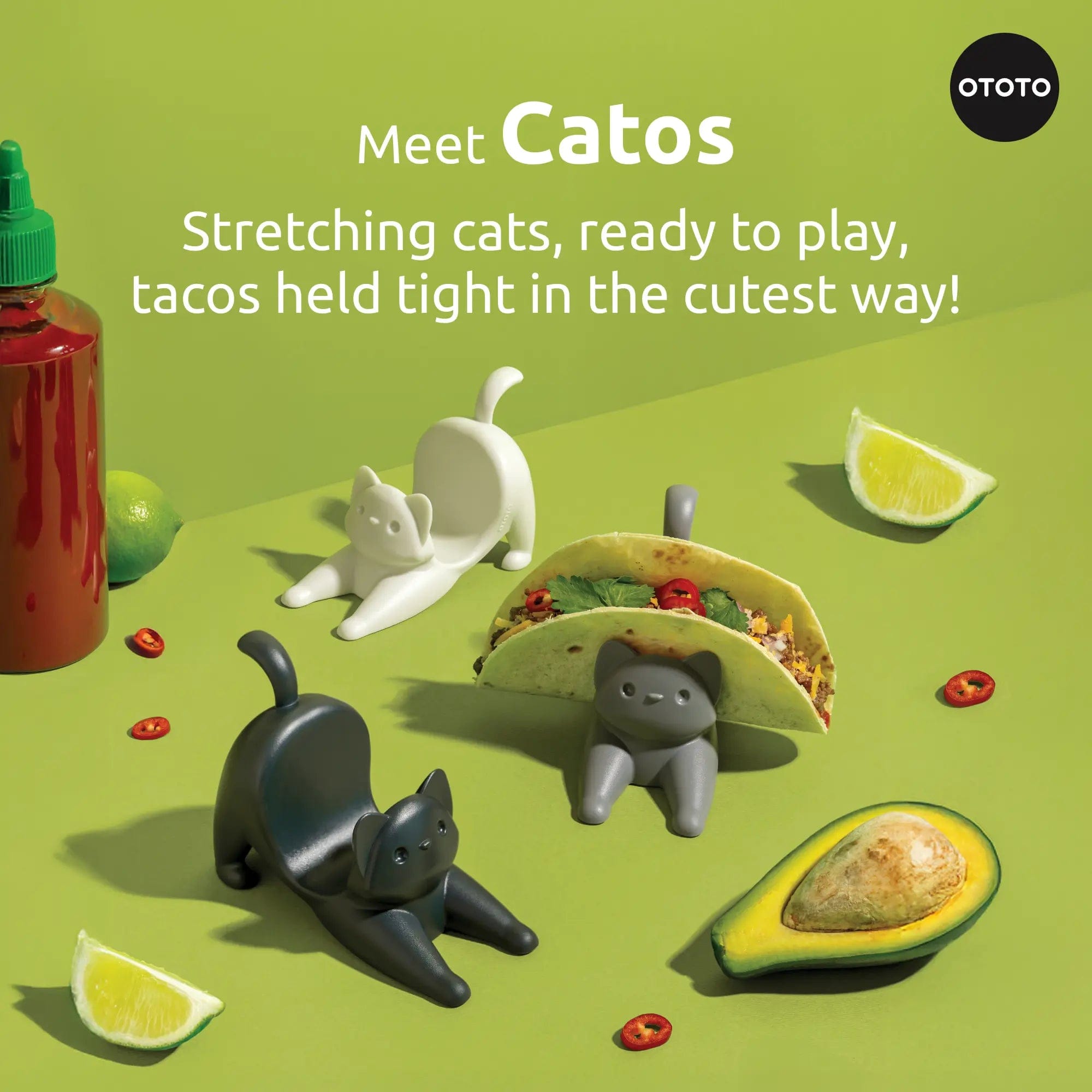 Ototo Catos - lifestyle shot