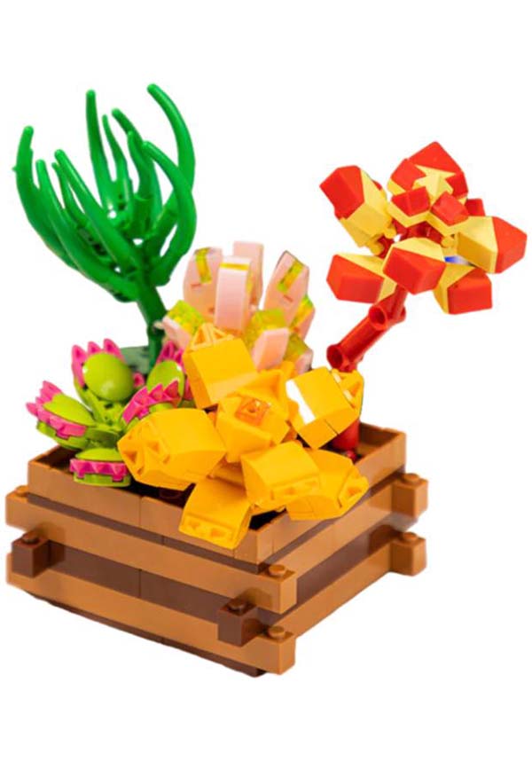 Succulent Garden: Summer Dew | PUZZLE*