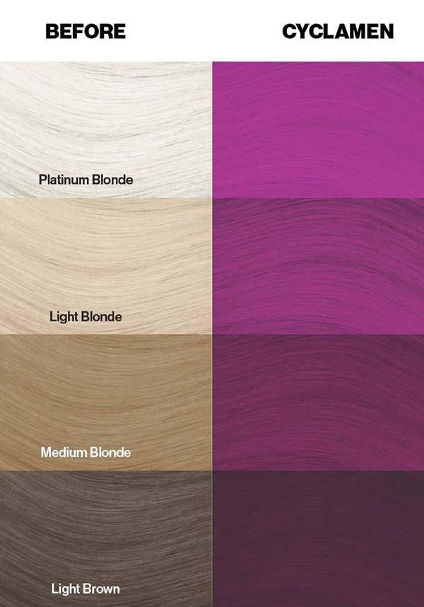 Cyclamen | HAIR COLOUR - Beserk - all, beserkstaple, clickfrenzy15-2023, cosmetics, cpgstinc, crazy color, discountapp, dye, fp, hair, hair colour, hair dye, hair dyes, hair purple, labelvegan, mermaid, purple, repriced011222, vegan