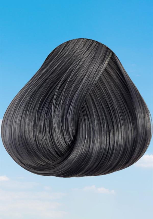 Stormy Grey | HAIR COLOUR - Beserk - all, beserkstaple, cosmetics, cruelty free, directions, discountapp, fp, goth, hair, hair colour, hair colours, hair dye, hair dyes, hair grey, hair products, hair silver, jan21, labelvegan, vegan