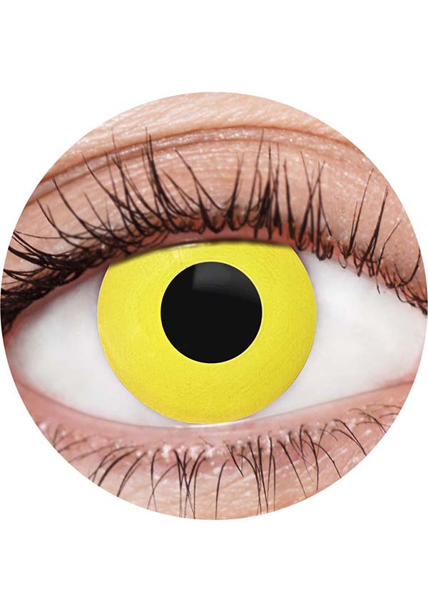 Yellow Crow | COSTUME CONTACT LENSES