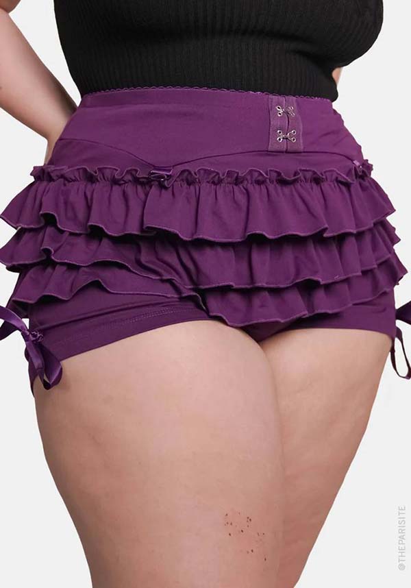 Dark Purple Rosemary | BLOOMERS