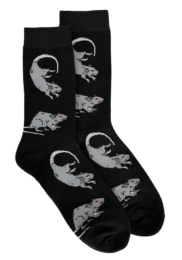 Rat | SOCKS