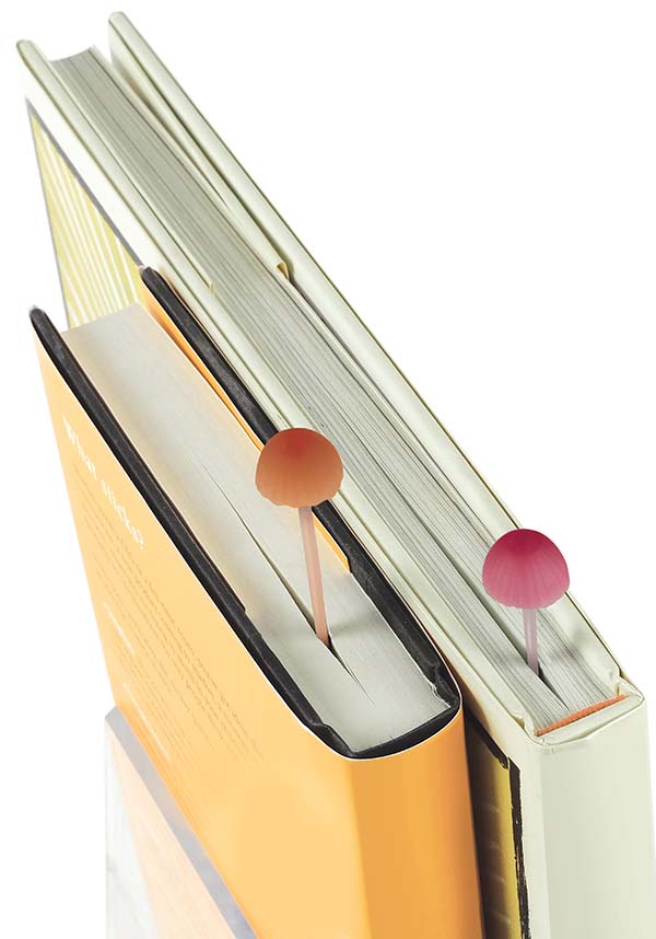 Magic Sprout | BOOKMARKS