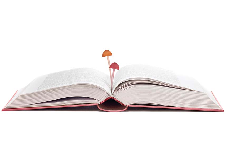 Magic Sprout | BOOKMARKS