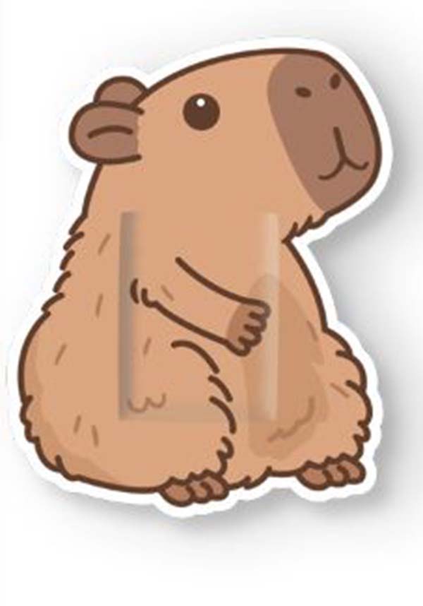 Capybara | BANDAIDS